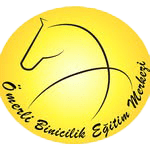 Logo1